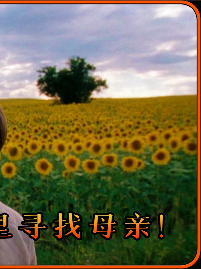 《我是大卫》：少年流亡路上的自由与救赎