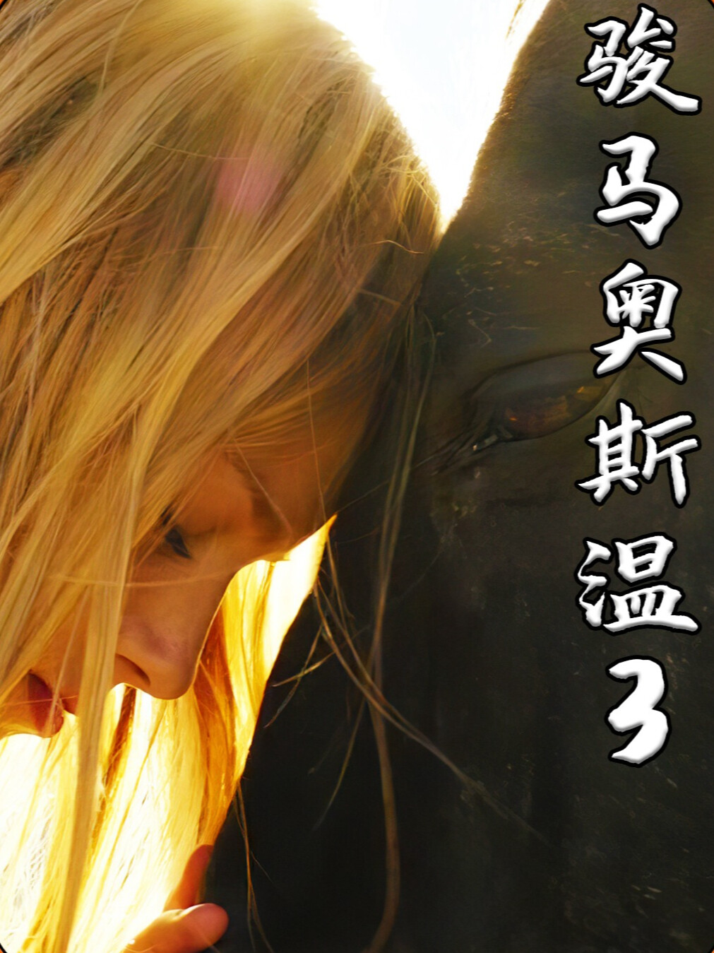 一个女孩的寻马之旅