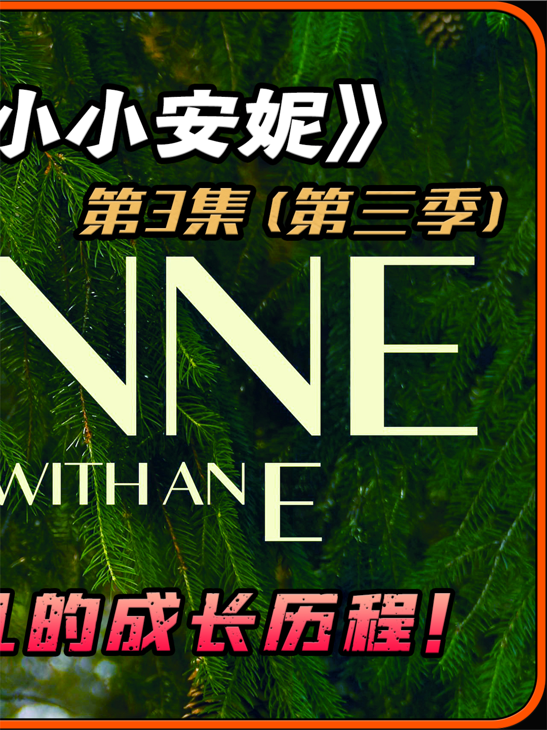 安妮的救赎:一个关于爱与成长的故事