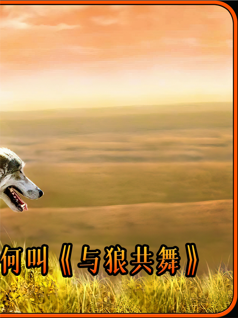 与狼共舞:与世隔绝,寻找自我,最终融入