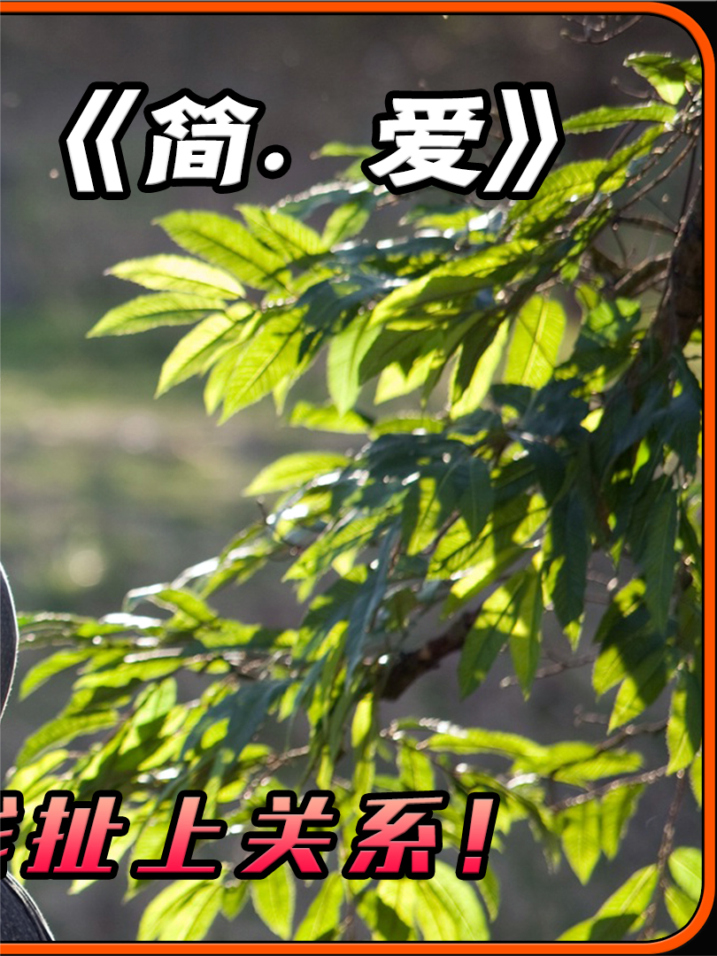 简爱（2011）—— 命运的挣扎与自由的追寻