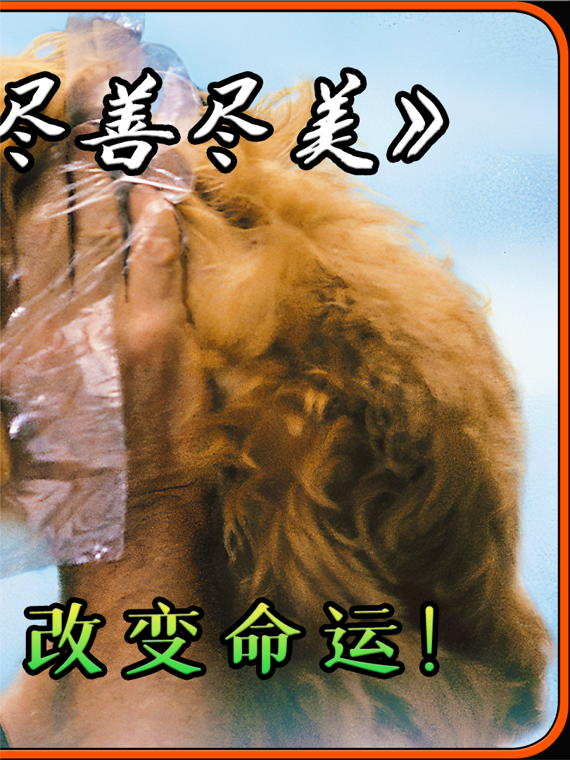 爱在心里口难开：爱情与救赎的温馨喜剧